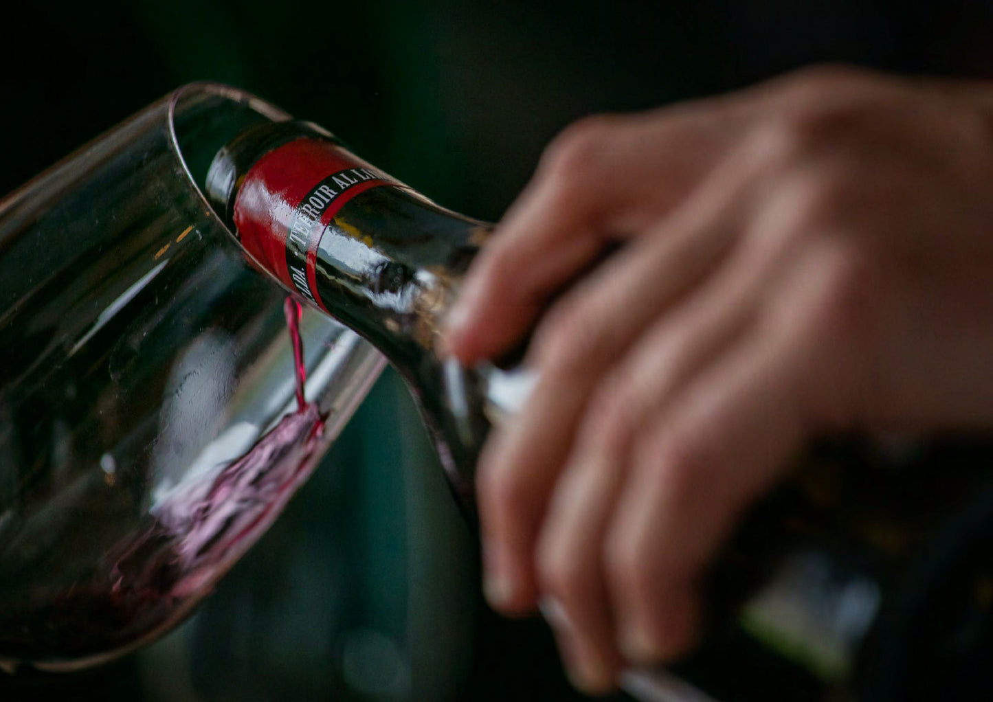 'Premier Cru' Tasting